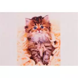 Алмазная мозаика на подрамнике "Пушистый серый котенок", 30х40 см