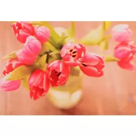 Алмазная мозаика на подрамнике "Розовые тюльпаны", 30х40 см