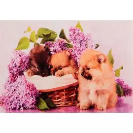 Алмазная мозаика на подрамнике "Щенята с сиренью", 30х40 см