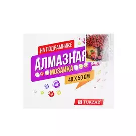 Алмазная мозаика на подрамнике "Велосипед"