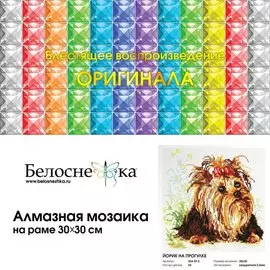 Алмазная мозаика на раме "Йорик на прогулке" (30х30)