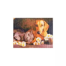 Алмазная мозаика (класс) Щенок и котенок с цветами (AC4054) (40х50см) (с подр., с полн.заполн.) (30цв) (Рыжий Кот) (6+) (коробка)