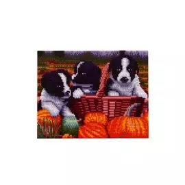 Алмазная мозаика с полным заполнением стразами, классическая "Щенята и тыквы", 22 х 32 см