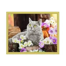 Алмазная мозаика ТМ Рыжий кот (класс) 40х50см, с подр.,с част. заполн.(22 цв.) Британский кот ACD5004