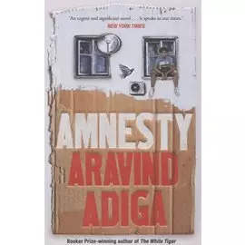 Amnesty