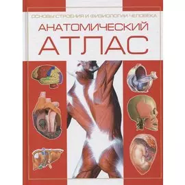 Анатомический атлас. Основы строения и физиологии человека