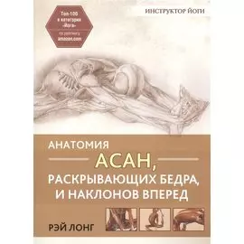 Анатомия асан, раскрывающих бедра, и наклонов вперед