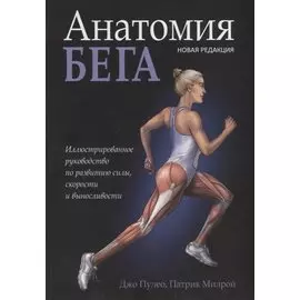 Анатомия бега