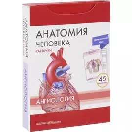 Анатомия человека Ангиология (45 карт.) (упаковка) Сапин