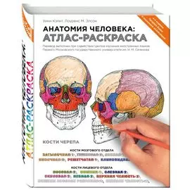 Анатомия человека: атлас-раскраска. 4 -е изд.