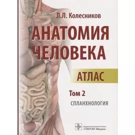 Анатомия человека Атлас Т. 2 Спланхнология (м) Колесников