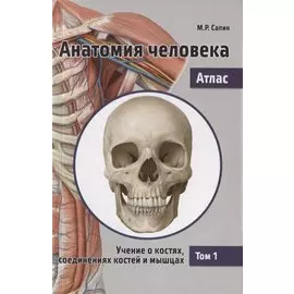 Анатомия человека. Атлас. В 3 томах. Том 1. Учение о костях, соединениях костей и мышцах
