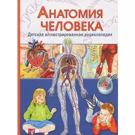 Анатомия человека. Детская иллюстрированная энциклопедия