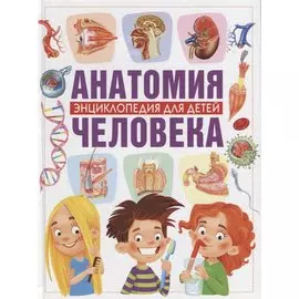 Анатомия человека. Энциклопедия для детей