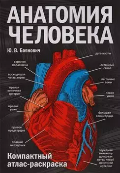 Анатомия человека: компактный атлас-раскраска