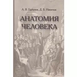 Анатомия человека