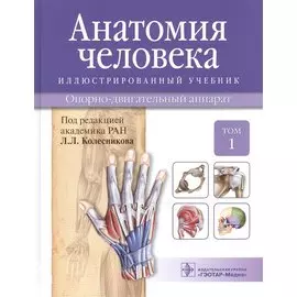 Анатомия человека.Т.1-Опорно-двигательный аппарат.Учебник в 3 томах