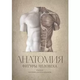 Анатомия фигуры человека. Краткое пособие для художников. Выпуск 1. Учебное пособие