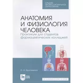 Анатомия и физиология человека. Практикум для студентов фармацевтических колледжей