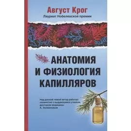 Анатомия и физиология капилляров