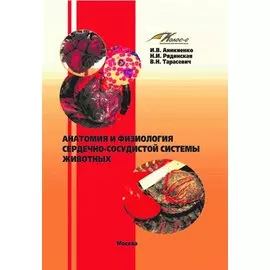 Анатомия и физиология сердечно-сосудистой системы животных