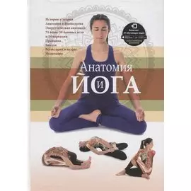 Анатомия и йога