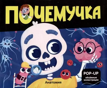 Анатомия: книжка- панорамка