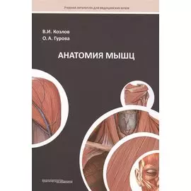 Анатомия мышц. Учебное пособие