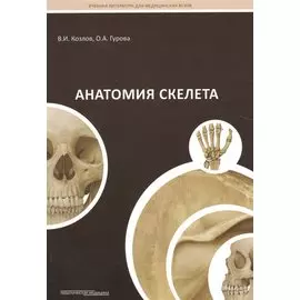 Анатомия скелета: Учебное пособие