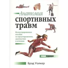 Анатомия спортивных травм