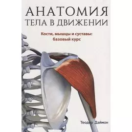 Анатомия тела в движении