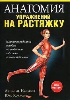 Анатомия упражнений на растяжку