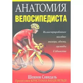 Анатомия велосипедиста