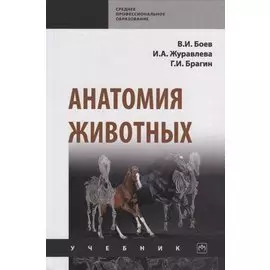 Анатомия животных. Учебник