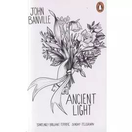 Ancient Light