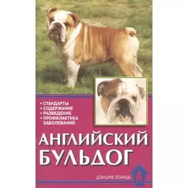 Английский бульдог. Стандарты. Содержание. Разведение. профилактика заболеваний