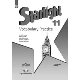 Английский язык. Лексический практикум. 11 класс