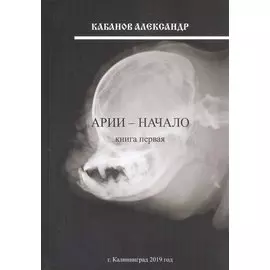 Арии - начало. Книга первая
