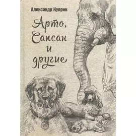 Арто, Сапсан и другие