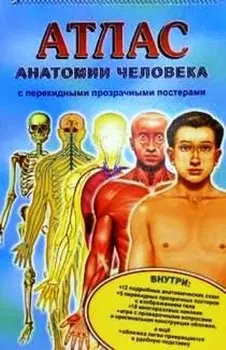 Атлас анатомии человека (с перекидными прозрачными постерами) (на липучке) (бол) (Лабиринт)