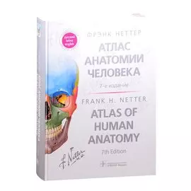 Атлас анатомии человека: терминология на русском, латинском и английском языках