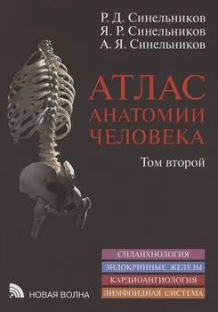 Атлас анатомии человека. В 3 томах. Том второй. Учение о внутренностях, эндокринных железах, сердечно-сосудистой и лимфоидной системах