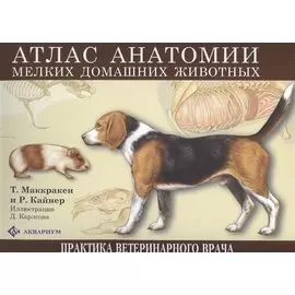 Атлас анатомии мелких домашних животных