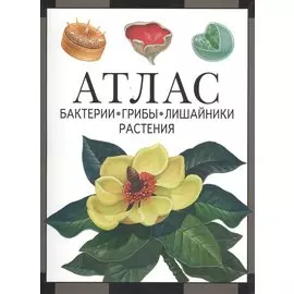 Атлас. Бактерии, грибы, лишайники, растения