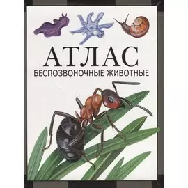 Атлас. Беспозвоночные животные