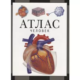Атлас. Человек