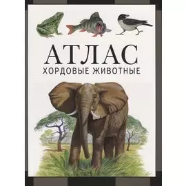 Атлас. Хордовые животные