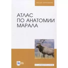 Атлас по анатомии марала