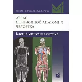 Атлас секционной анатомии человека. Костно-мышечная система
