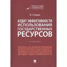 Аудит эффективности использования государственных ресурсов. Учебник